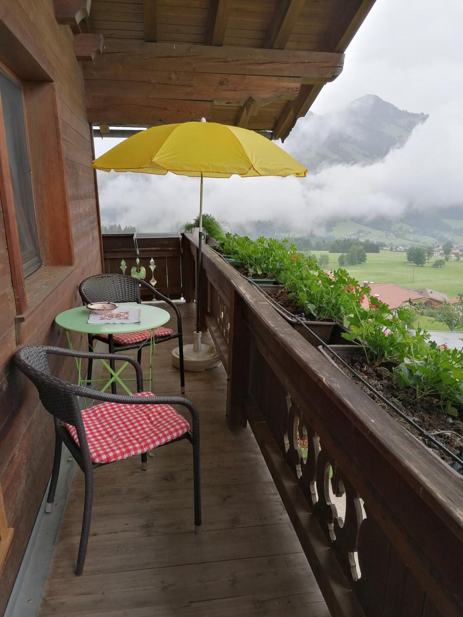 Embacher Marianne - Rotharlhof Hopfgarten im Brixental Ngoại thất bức ảnh